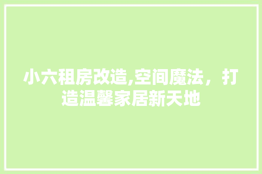 小六租房改造,空间魔法，打造温馨家居新天地