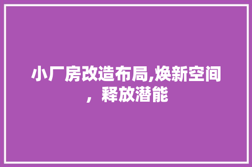 小厂房改造布局,焕新空间，释放潜能