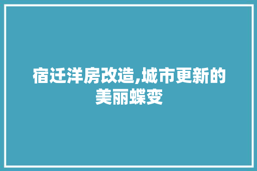 宿迁洋房改造,城市更新的美丽蝶变