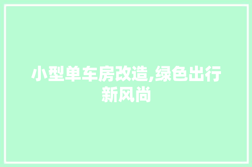 小型单车房改造,绿色出行新风尚