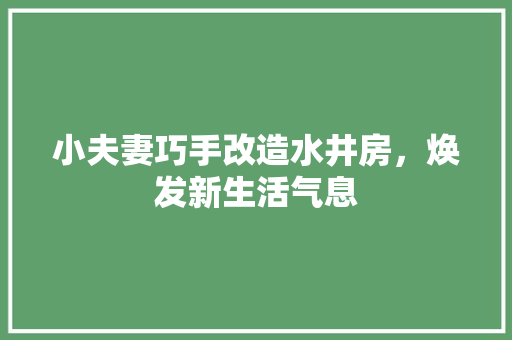 小夫妻巧手改造水井房，焕发新生活气息