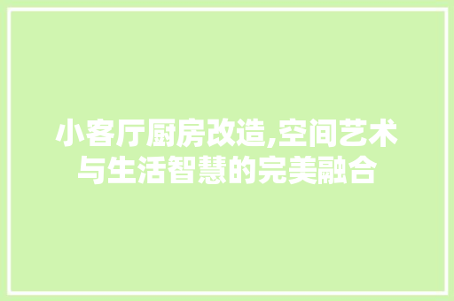 小客厅厨房改造,空间艺术与生活智慧的完美融合