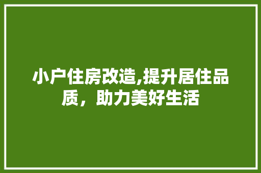 小户住房改造,提升居住品质，助力美好生活