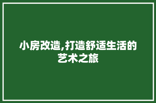 小房改造,打造舒适生活的艺术之旅