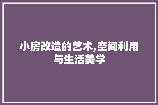 小房改造的艺术,空间利用与生活美学