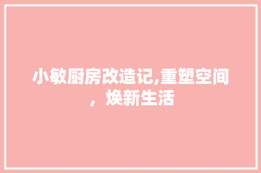 小敏厨房改造记,重塑空间，焕新生活