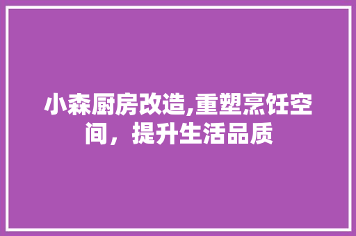 小森厨房改造,重塑烹饪空间，提升生活品质