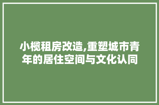 小榄租房改造,重塑城市青年的居住空间与文化认同