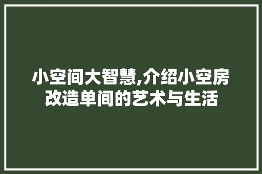 小空间大智慧,介绍小空房改造单间的艺术与生活
