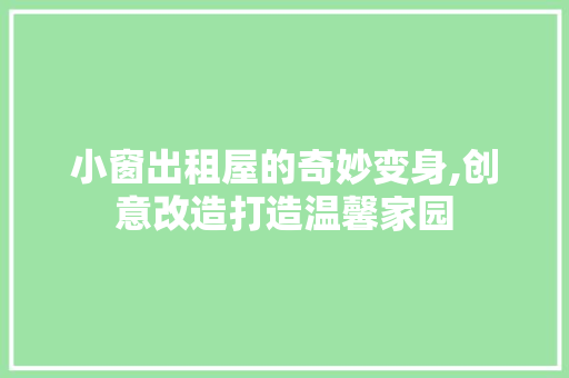 小窗出租屋的奇妙变身,创意改造打造温馨家园