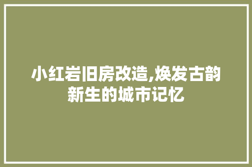 小红岩旧房改造,焕发古韵新生的城市记忆