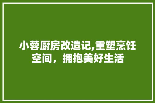 小蓉厨房改造记,重塑烹饪空间，拥抱美好生活