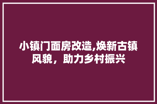 小镇门面房改造,焕新古镇风貌，助力乡村振兴