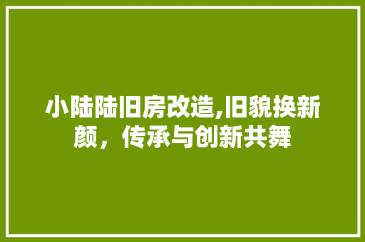 小陆陆旧房改造,旧貌换新颜，传承与创新共舞