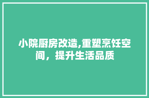 小院厨房改造,重塑烹饪空间，提升生活品质