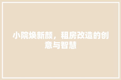 小院焕新颜，租房改造的创意与智慧