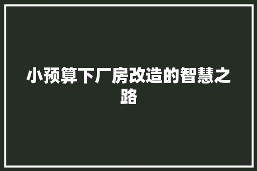 小预算下厂房改造的智慧之路