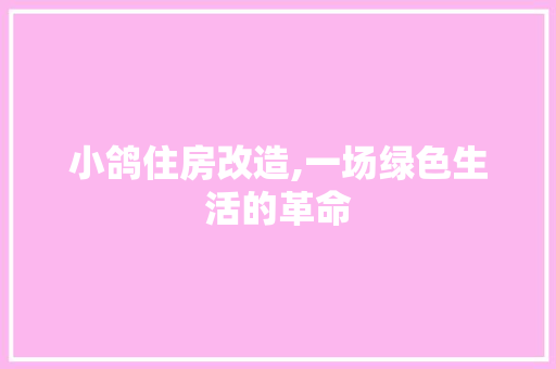 小鸽住房改造,一场绿色生活的革命