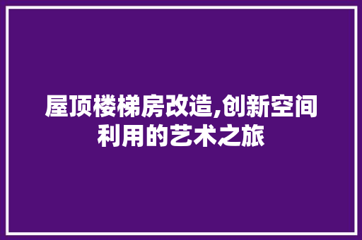 屋顶楼梯房改造,创新空间利用的艺术之旅