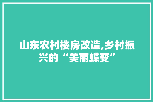 山东农村楼房改造,乡村振兴的“美丽蝶变”