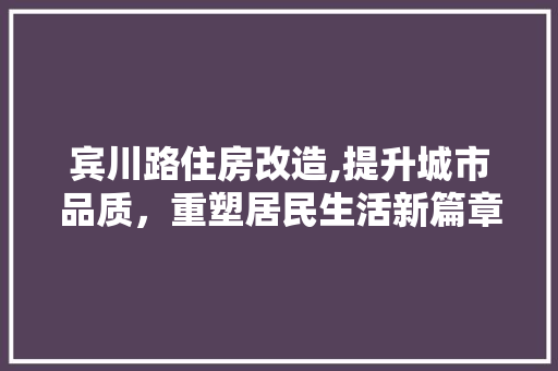 宾川路住房改造,提升城市品质，重塑居民生活新篇章