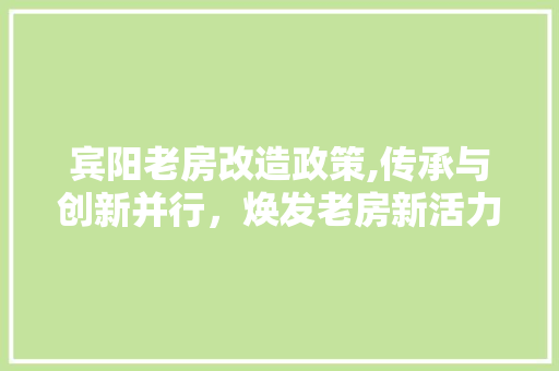 宾阳老房改造政策,传承与创新并行，焕发老房新活力