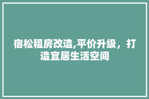 宿松租房改造,平价升级，打造宜居生活空间