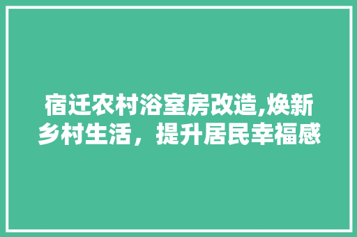 宿迁农村浴室房改造,焕新乡村生活，提升居民幸福感
