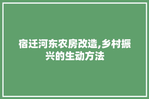 宿迁河东农房改造,乡村振兴的生动方法