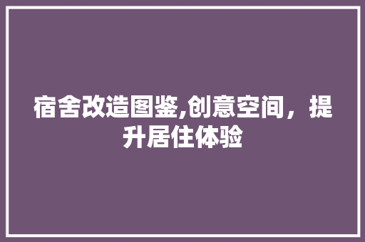 宿舍改造图鉴,创意空间，提升居住体验
