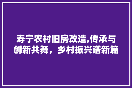 寿宁农村旧房改造,传承与创新共舞，乡村振兴谱新篇