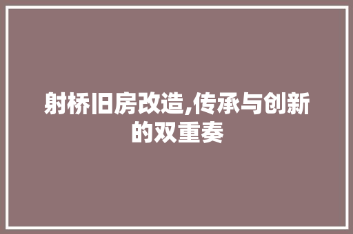 射桥旧房改造,传承与创新的双重奏