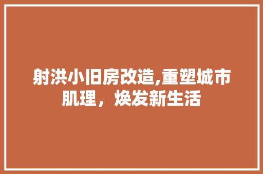 射洪小旧房改造,重塑城市肌理，焕发新生活