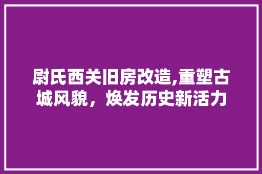 尉氏西关旧房改造,重塑古城风貌，焕发历史新活力