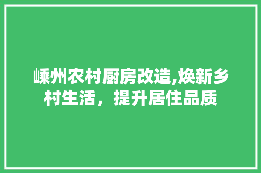 嵊州农村厨房改造,焕新乡村生活，提升居住品质