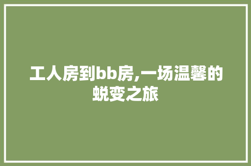 工人房到bb房,一场温馨的蜕变之旅
