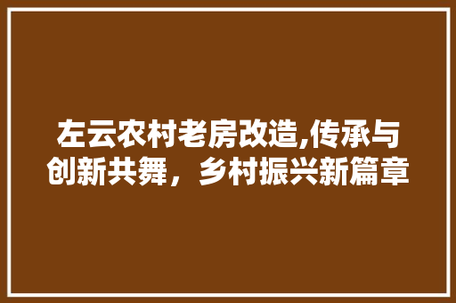 左云农村老房改造,传承与创新共舞，乡村振兴新篇章