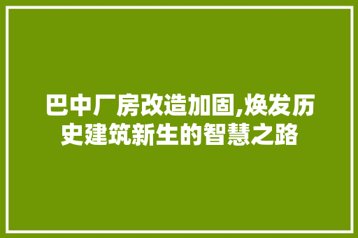 巴中厂房改造加固,焕发历史建筑新生的智慧之路