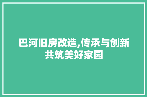 巴河旧房改造,传承与创新共筑美好家园