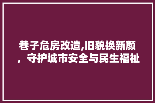巷子危房改造,旧貌换新颜，守护城市安全与民生福祉