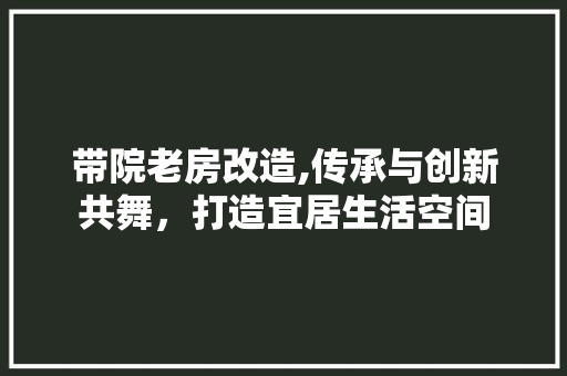 带院老房改造,传承与创新共舞，打造宜居生活空间