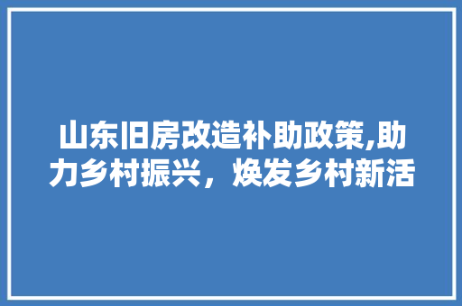 山东旧房改造补助政策,助力乡村振兴，焕发乡村新活力