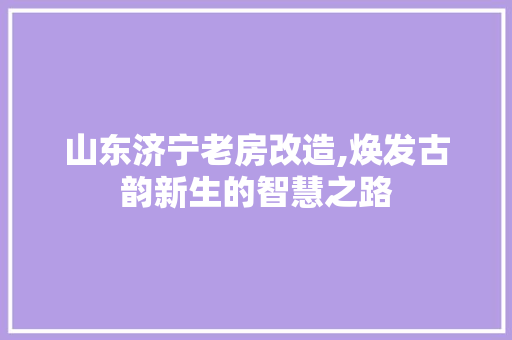 山东济宁老房改造,焕发古韵新生的智慧之路