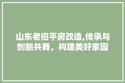 山东老旧平房改造,传承与创新共舞，构建美好家园