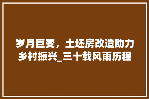 岁月巨变，土坯房改造助力乡村振兴_三十载风雨历程回顾