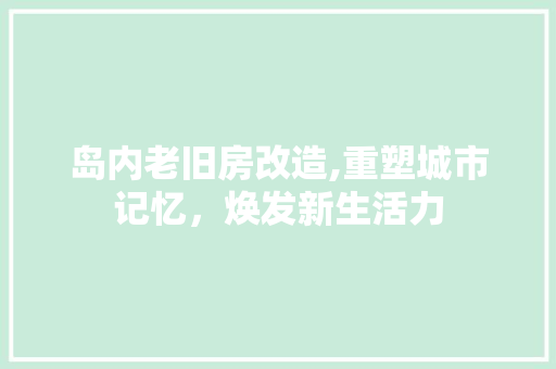 岛内老旧房改造,重塑城市记忆，焕发新生活力