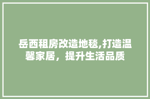 岳西租房改造地毯,打造温馨家居，提升生活品质