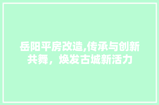 岳阳平房改造,传承与创新共舞，焕发古城新活力