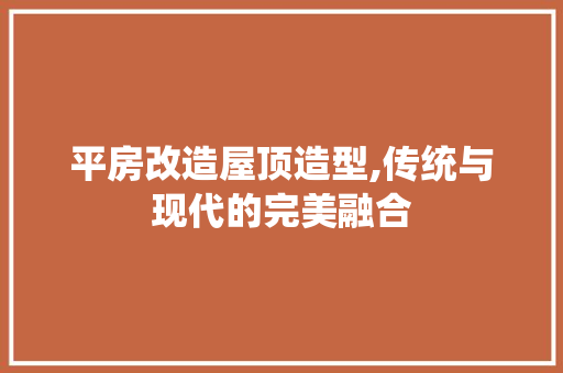平房改造屋顶造型,传统与现代的完美融合