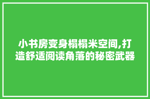小书房变身榻榻米空间,打造舒适阅读角落的秘密武器